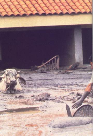 Corrida de Lama - Colombia, 1985