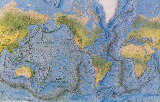 placa01.jpg (48948 bytes)