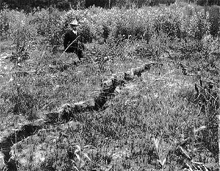 So Francisco (EUA), 1906