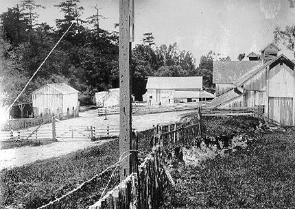 So Francisco (EUA), 1906