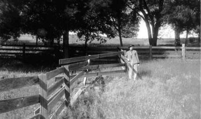 Terremoto So Francisco, 1906