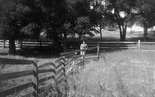 So Francisco (EUA), 1906