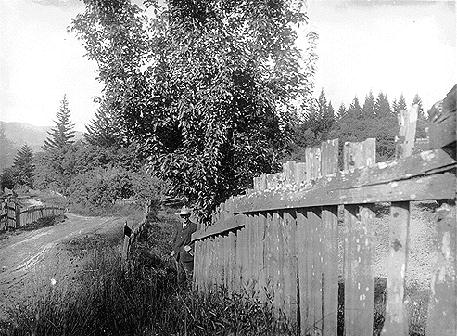 So Francisco (EUA), 1906