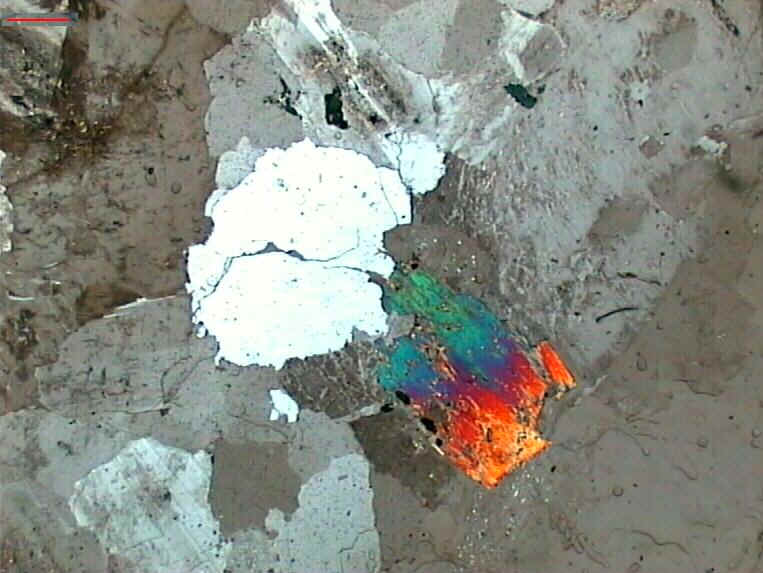 cristal de biotita em granito, observada a nicóis cruzados